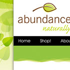 Abundance Naturally